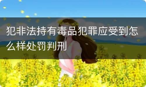 犯非法持有毒品犯罪应受到怎么样处罚判刑