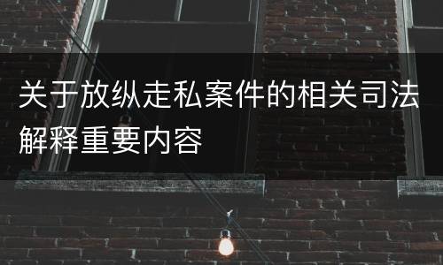 关于放纵走私案件的相关司法解释重要内容