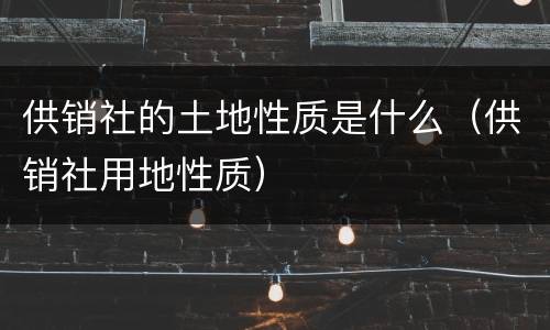 供销社的土地性质是什么（供销社用地性质）