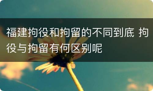 福建拘役和拘留的不同到底 拘役与拘留有何区别呢