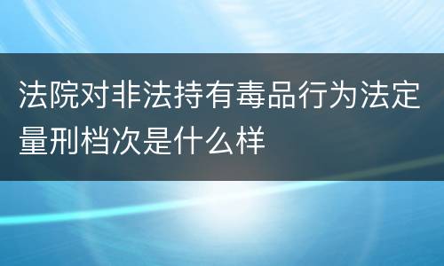 法院对非法持有毒品行为法定量刑档次是什么样
