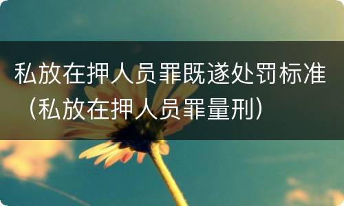 私放在押人员罪既遂处罚标准（私放在押人员罪量刑）