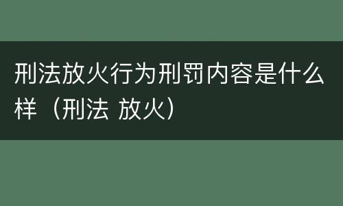 刑法放火行为刑罚内容是什么样（刑法 放火）