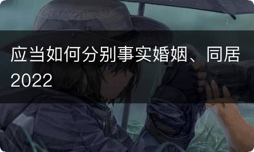 应当如何分别事实婚姻、同居2022