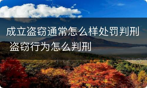 成立盗窃通常怎么样处罚判刑 盗窃行为怎么判刑