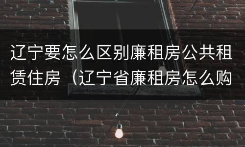 辽宁要怎么区别廉租房公共租赁住房（辽宁省廉租房怎么购买产权）