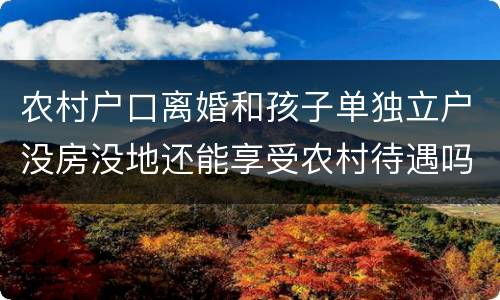农村户口离婚和孩子单独立户没房没地还能享受农村待遇吗