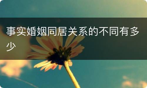 事实婚姻同居关系的不同有多少