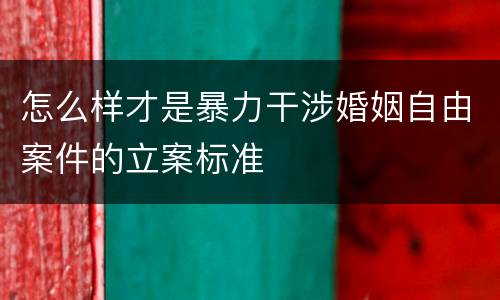 怎么样才是暴力干涉婚姻自由案件的立案标准