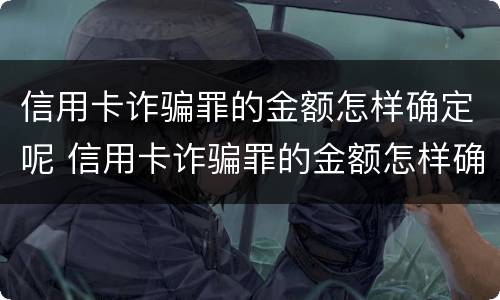 信用卡诈骗罪的金额怎样确定呢 信用卡诈骗罪的金额怎样确定呢