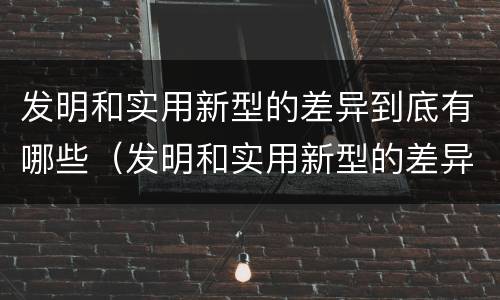 发明和实用新型的差异到底有哪些（发明和实用新型的差异到底有哪些特点）