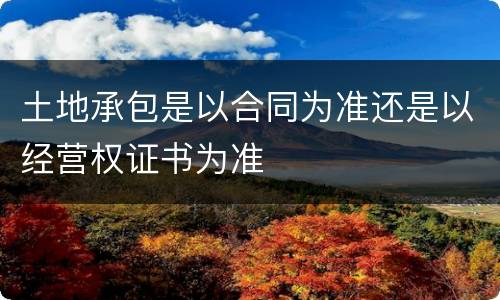 土地承包是以合同为准还是以经营权证书为准