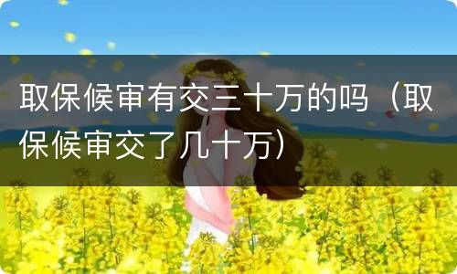 取保候审有交三十万的吗（取保候审交了几十万）