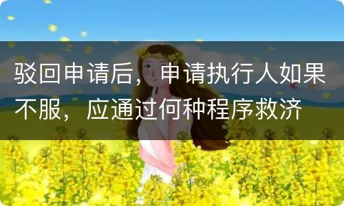 驳回申请后，申请执行人如果不服，应通过何种程序救济
