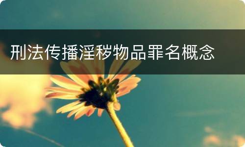 刑法传播淫秽物品罪名概念