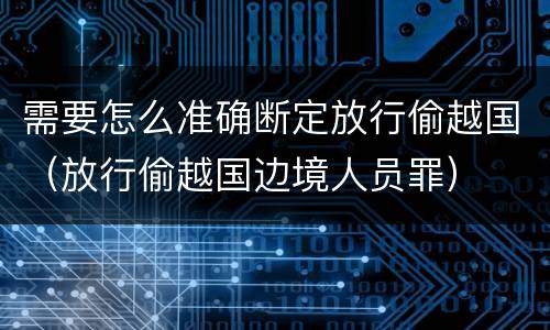 需要怎么准确断定放行偷越国（放行偷越国边境人员罪）