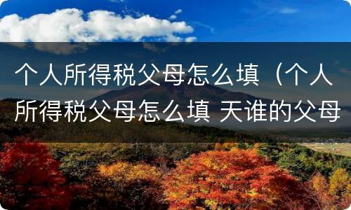 个人所得税父母怎么填（个人所得税父母怎么填 天谁的父母）