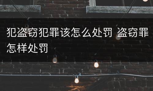 犯盗窃犯罪该怎么处罚 盗窃罪怎样处罚