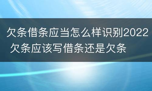 欠条借条应当怎么样识别2022 欠条应该写借条还是欠条