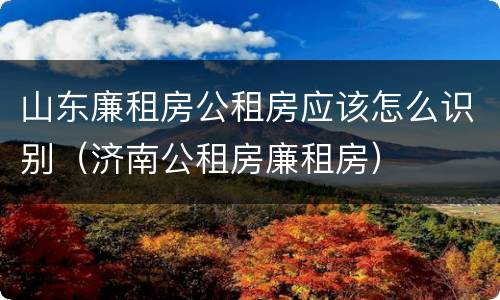 山东廉租房公租房应该怎么识别（济南公租房廉租房）