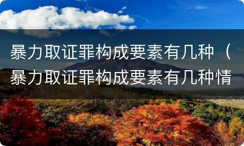 暴力取证罪构成要素有几种（暴力取证罪构成要素有几种情形）