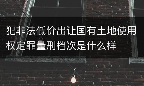 犯非法低价出让国有土地使用权定罪量刑档次是什么样