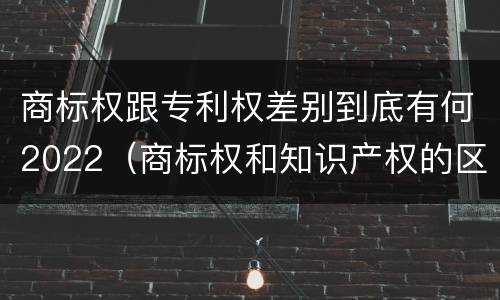 商标权跟专利权差别到底有何2022（商标权和知识产权的区别）