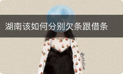 湖南该如何分别欠条跟借条