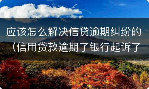 应该怎么解决信贷逾期纠纷的（信用贷款逾期了银行起诉了怎么办）