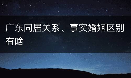 广东同居关系、事实婚姻区别有啥