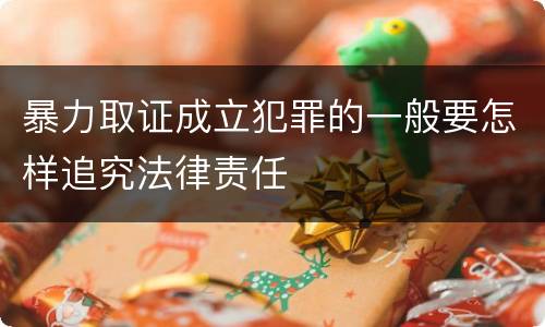 暴力取证成立犯罪的一般要怎样追究法律责任