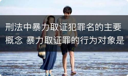 刑法中暴力取证犯罪名的主要概念 暴力取证罪的行为对象是