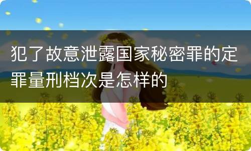犯了故意泄露国家秘密罪的定罪量刑档次是怎样的