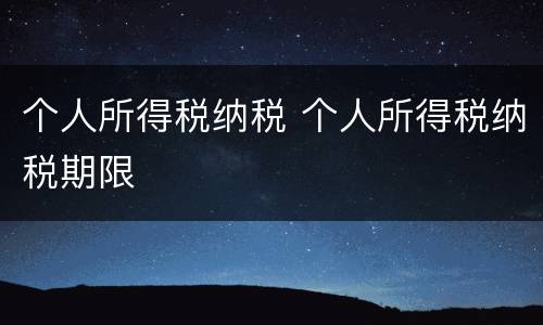个人所得税纳税 个人所得税纳税期限