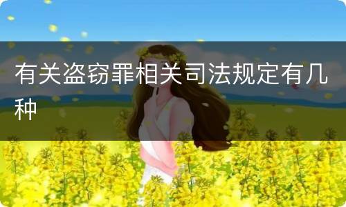 有关盗窃罪相关司法规定有几种