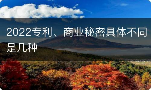 2022专利、商业秘密具体不同是几种