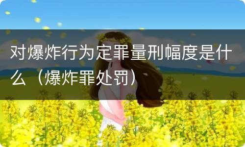 对爆炸行为定罪量刑幅度是什么（爆炸罪处罚）