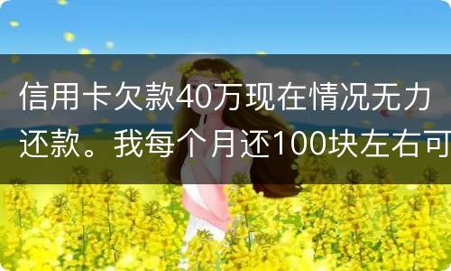 信用卡欠款40万现在情况无力还款。我每个月还100块左右可以吗