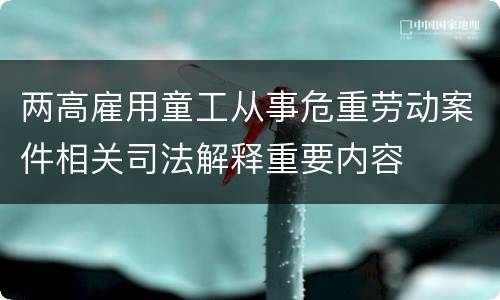 两高雇用童工从事危重劳动案件相关司法解释重要内容
