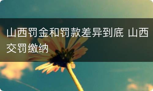 山西罚金和罚款差异到底 山西交罚缴纳