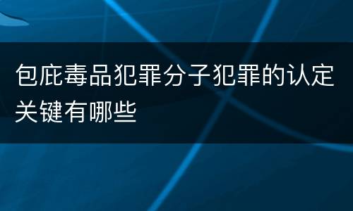 包庇毒品犯罪分子犯罪的认定关键有哪些