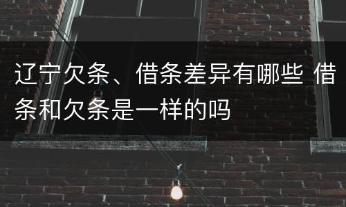 辽宁欠条、借条差异有哪些 借条和欠条是一样的吗