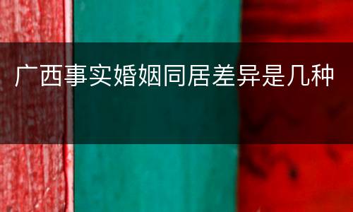 广西事实婚姻同居差异是几种