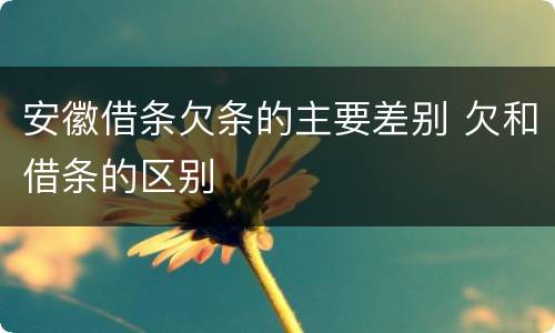 安徽借条欠条的主要差别 欠和借条的区别