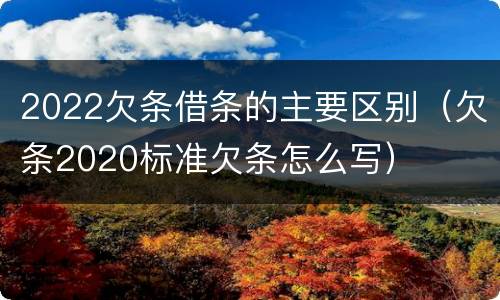 2022欠条借条的主要区别（欠条2020标准欠条怎么写）