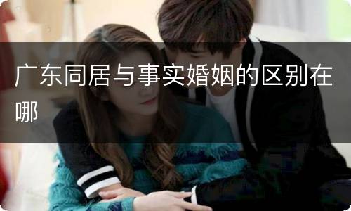 广东同居与事实婚姻的区别在哪