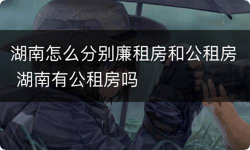 湖南怎么分别廉租房和公租房 湖南有公租房吗