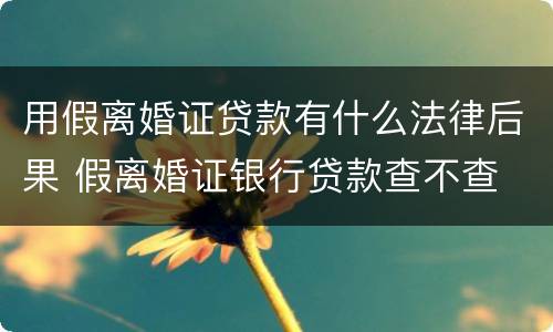 用假离婚证贷款有什么法律后果 假离婚证银行贷款查不查