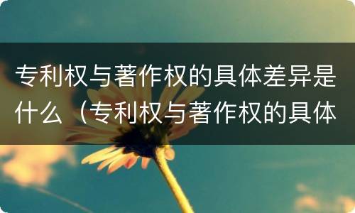 专利权与著作权的具体差异是什么（专利权与著作权的具体差异是什么原因）