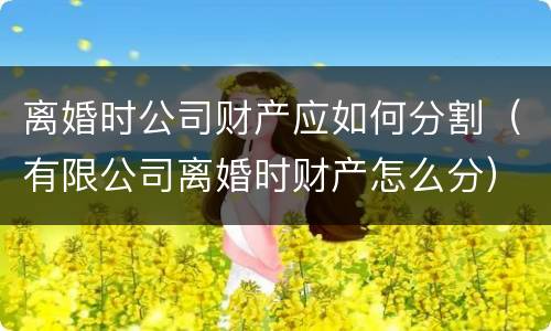 离婚时公司财产应如何分割（有限公司离婚时财产怎么分）